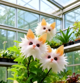 Magical plants! Cat's eye dazzling series✨