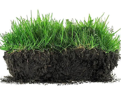 Soil Revitalizer 8.5 oz – Fast-Acting Formula to Restore Nutrients and Boost Plant Growth