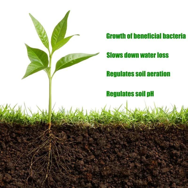 Soil Revitalizer 8.5 oz – Fast-Acting Formula to Restore Nutrients and Boost Plant Growth