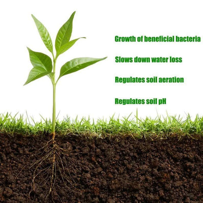 Soil Revitalizer 8.5 oz – Fast-Acting Formula to Restore Nutrients and Boost Plant Growth
